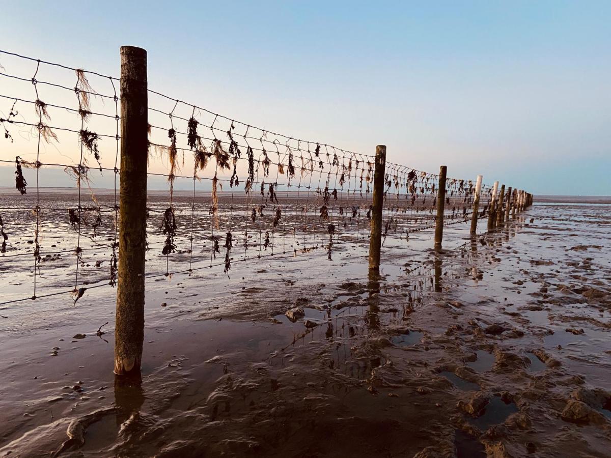 Ferien Im Wangerland Ferienwohnung Leuchtturm Minsen Schillig Hund Pool Sauna Norderaltendeich Buitenkant foto